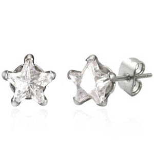 SSE0065-Stainless Earring